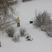 Вчера было сухо и зеленела травка, а нынче - посмотри   окно!  :) :: Евгений Корьевщиков