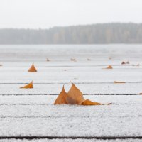 Поздняя осень :: Константин Ощепков