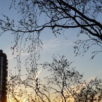 рассвет :: Anna-Sabina Anna-Sabina