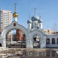 К нам пришла весна :: Галина Нестратова