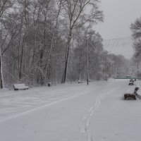 Апрель пошутил :: Виктор Иванович Чернюк