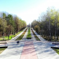 Весенний парк. :: Милешкин Владимир Алексеевич 