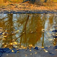 Осенняя лужа. :: nadyasilyuk Вознюк