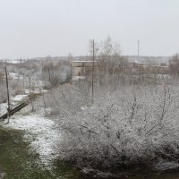 Травка зеленеет... :: Елена Минина