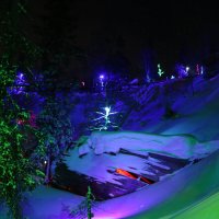 Ночи таинственного леса :: Ольга 