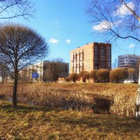 Пригожий день весенний. :: Лилия *