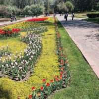 Almaty. :: Murat Bukaev 