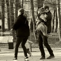 Обидели... :: Виктор Савельев