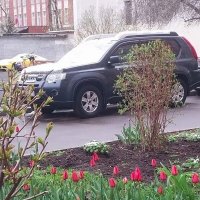 А у нас во дворе :: Ирэн 