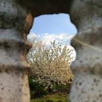 Взгляд сквозь окно :: Татьяна Пальчикова