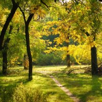 осенняя сказка :: Олег Кабанец