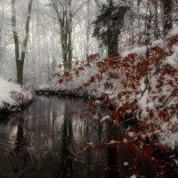 Лесная речушка.Зима :: Виктор Савельев