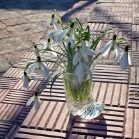 ** :: Зоя Мишина