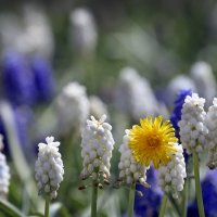 Зарядье 22 апреля :: Михаил Бибичков