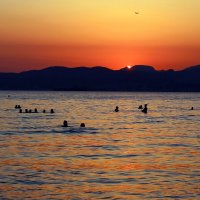 Купание при заходящем солнце :: Юрий. Шмаков