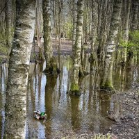 Городской пейзаж. :: Любовь 