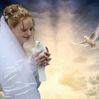 Голубка :: Valziwa 