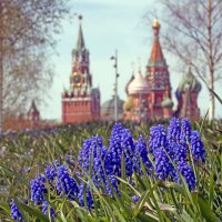 Зарядье 22 апреля :: Михаил Бибичков