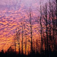 Огненный рассвет :: Александр 