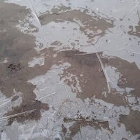 март :: Елена Шаламова