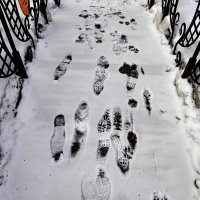 На тему Александра Галича :: Victor Vinocurov