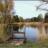 На озере :: Aleksandr Gal