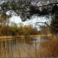 *** :: Aleksandr Gal