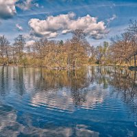 Пруд :: Jakob Dick