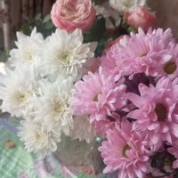 Нежность :: Елена Семигина