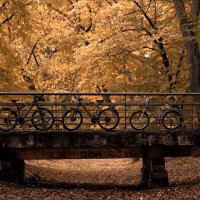 Вот и осень... :: Виктор Савельев