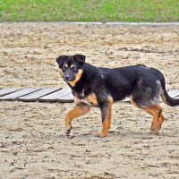 Угостишь?! :: Валентина  Нефёдова 