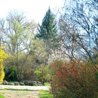 Весна в  Крыму :: Валентин Семчишин