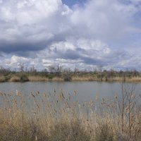 **** :: Виктор 