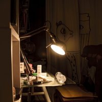 Вечер :: Олег 