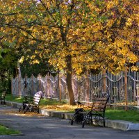 Осенние зарисовки :: Олег Кабанец