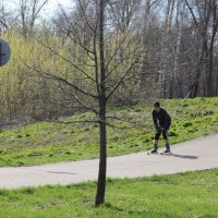 Лыжная трасса :: Венера Чуйкова