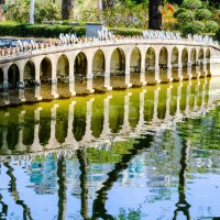 Мост в г. Шэньчжэнь :: Георгий А