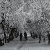 Сказочная весна :: Виктор Иванович Чернюк