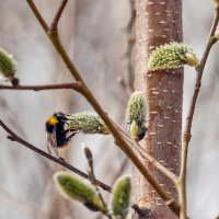 Вкусненькое на завтрак :: Валерий Иванович
