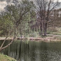 Пробуждение природы ... :: Ravile 