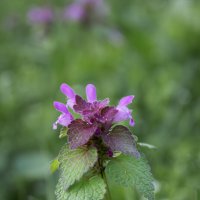 *** :: Александр. AVG100 ---