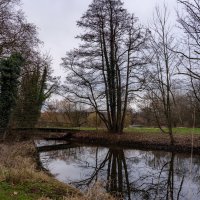 Январское... :: Николай Гирш