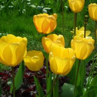 Перед закатом :: Виктор Савельев