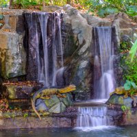 Водопад в г. Шэньчжэнь (3) :: Георгий А