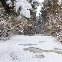 Апрельский пейзаж :: Александр Синдерёв