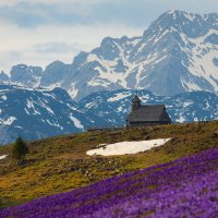 Весна на высокогорье :: Сергей Титов