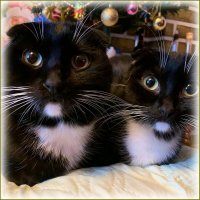 Братик и сестричка . :: Валентина Надсон