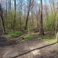 Апрель, который радовал нечасто :: Андрей Лукьянов