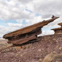 На Сундуках :: Марина Фомина.