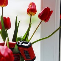 В красных тонах :: Юрий Гайворонскiий